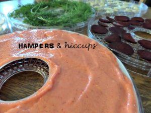 My personal review of the Salton DH4154 Collapsible Dehydrator. #dehydrate your garden produce + other goods. Create yummy #healthy #snacks. #Preserve #herbs #vegetables #fruit #meat. #inexpensive way to start your dehydrating journey. Learn what I #love and what I don’t. Plus some tips for any #dehydrator, as well as a #free #mealplan. #hampersandhiccups #food #family 