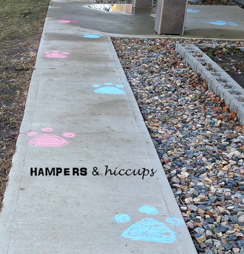 Outdoor paw patrol ideas. Paw patrol decorating ideas. Decorating ideas for a #pawpatrol party. What we did for our daughter's second birthday.