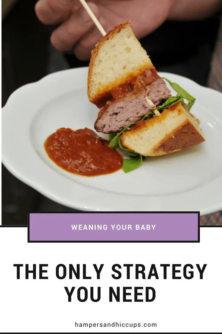 are you looking to start weaning your baby? wondering how to start your baby on solids? Try baby-led weaning for fast and fun results. perfect for the lazy #momlife. #blw how to wean a baby. great resource for advice on giving a baby food and when to start introducing solids.