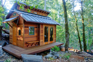Tiny homeowner image tiny house in the woods prepper 