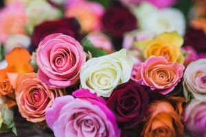 Finishing touches to your deck roses