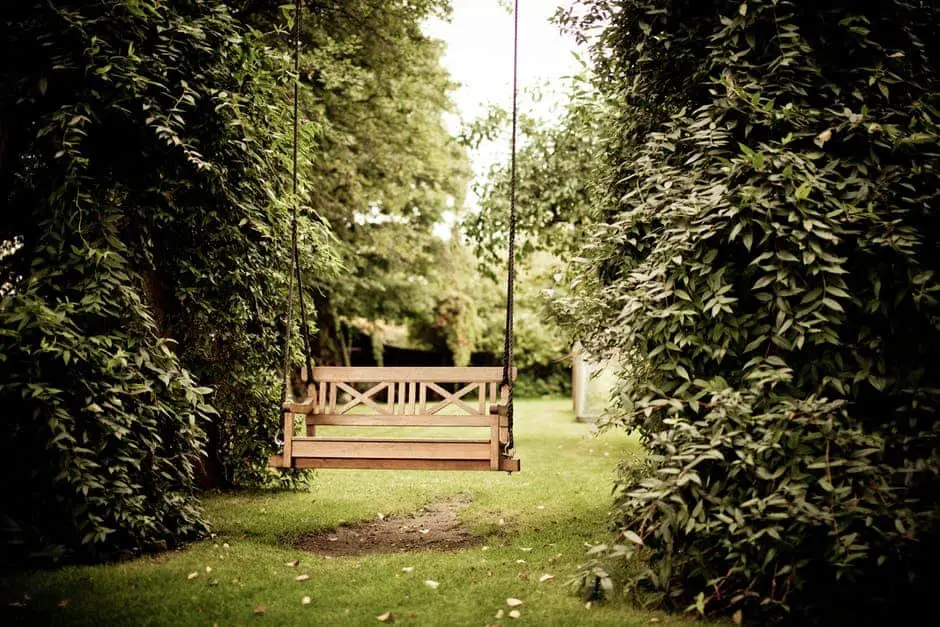 Big Back Yard image wooden swing trees
