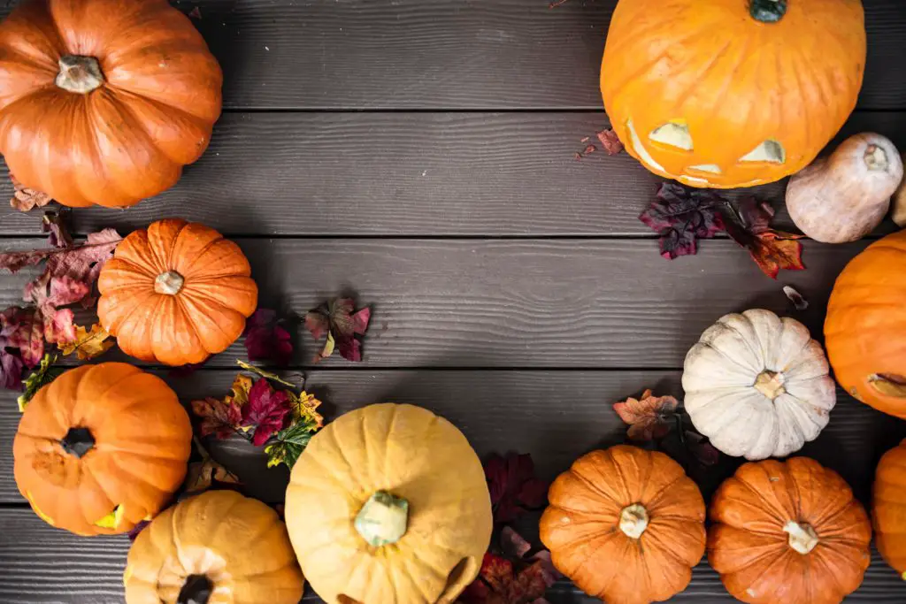 Outdoors fabulous porch decor pumpkin squash and leaves arrangement