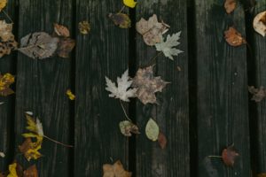 Backyard Decking - leaves on a wooden deck