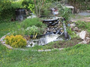 Backyard style nailed down man made pond in backyard