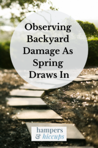 Observing Backyard Damage As Spring Draws In Garden Path of square stones hampersandhiccups