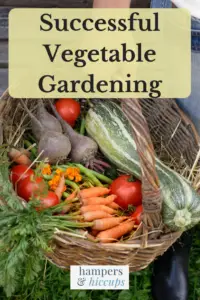 Successful Vegetable Garden - vegetables from gardening season in a basket hampersandhiccups