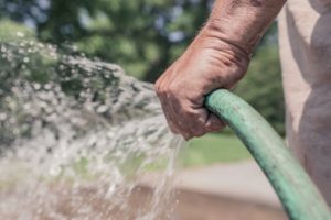 Successful Vegetable Garden spraying water with the garden hose