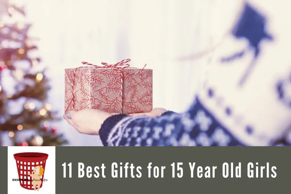 perfect gift for 11 year girl