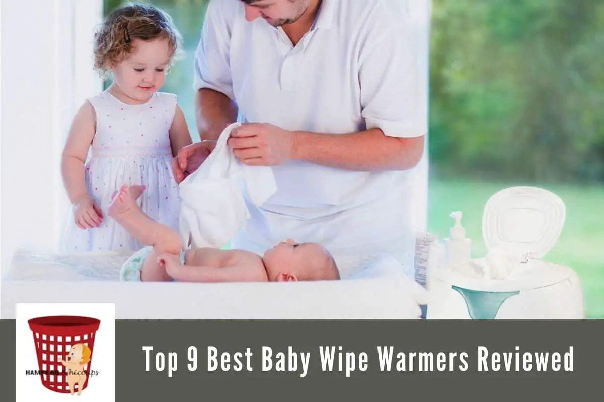 baby wipe warmer bacteria