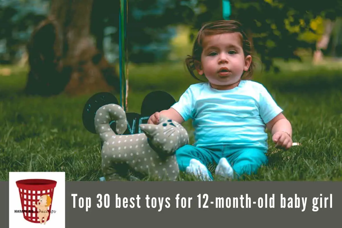 Top 30 Best Toys for 12 Month Old Girl in 2020: Gifts for 12 Month Old ...
