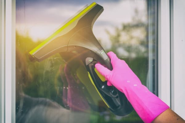 no-streaks-window-vacuum