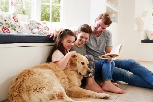 healthy-dog-home