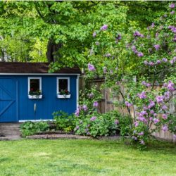 blue-garden-she-shed-in-the-backyard