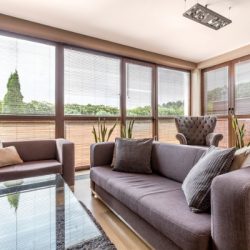 windows in living room
