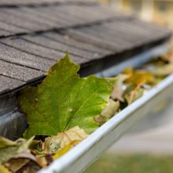 closeup of house rain gutter clogged with colorful leaves falling