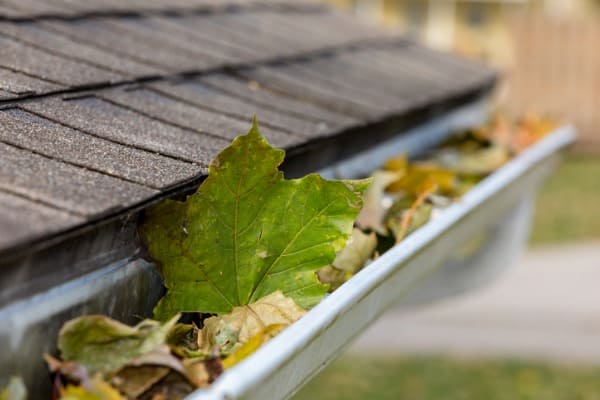 closeup of house rain gutter clogged with colorful leaves falling