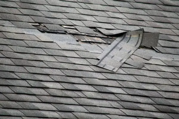 damaged roof shingles