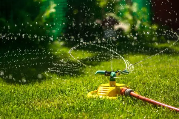 garden watering of a spring green lawn sunny garden