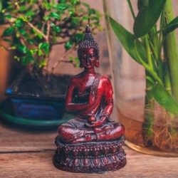 spiritual buddha decor