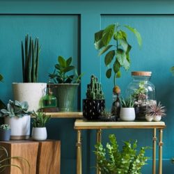 stylish composition of home garden interior filled a lot of beautiful