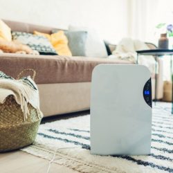buying a dehumidifier