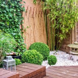 japanese garden with bamboos and stone lantern