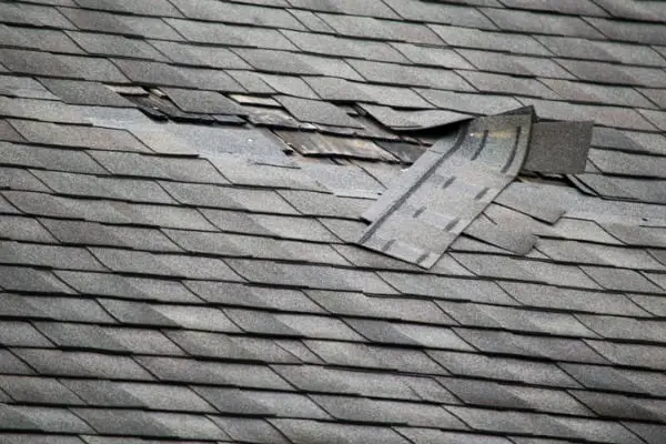 Signs You Need a New Roof