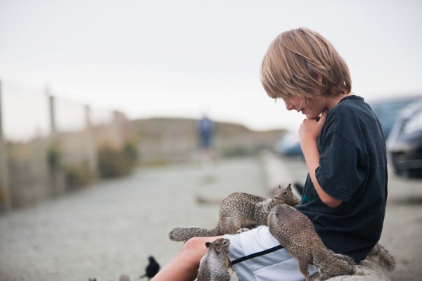 Squirrel Control Tips To Protect Your Kids This Summer