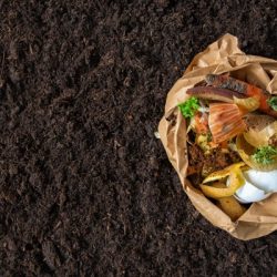 home composting