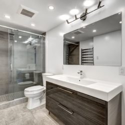 newly renovated bathroom idea
