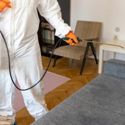 pest control visit