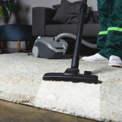 selecting professional carpet cleaner