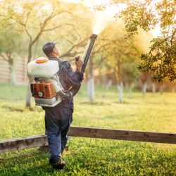 choosing pest control company