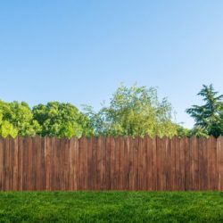 basic rules of fencing
