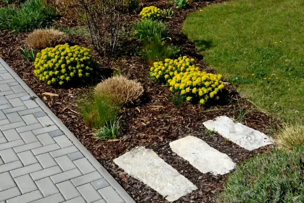 Help Your Garden Survive Summer Heat Waves