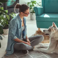 Pamper Your Pooch