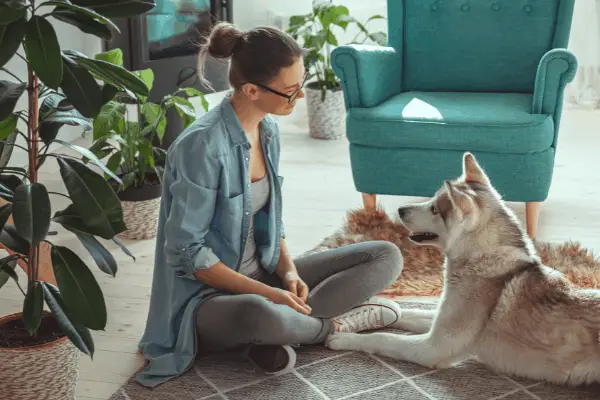 Pamper Your Pooch