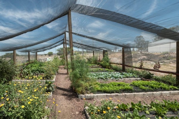 net shade greenhouse