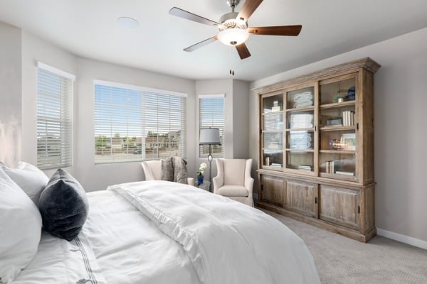 windows in the bedroom