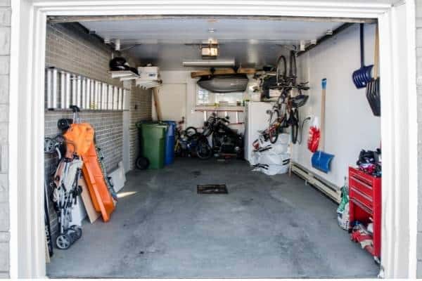 Pests living in the garage