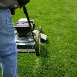 What Causes Brown Patches in Your Lawn and How to Fix It hdr