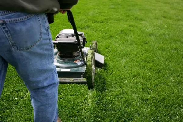 What Causes Brown Patches in Your Lawn and How to Fix It hdr