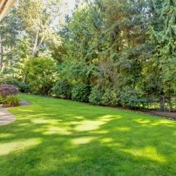 How to Fertilize a Lawn in 3 Easy Steps hdr