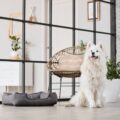 laminate vs vinyl plank for pets hdr